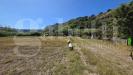 Terreno Agricolo in vendita a Pozzuoli - 07, WhatsApp Image 2026-09-24 at 15.18.13 (4).jpeg