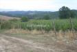 Terreno in vendita a San Casciano dei Bagni - 02