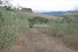 Terreno in vendita a San Casciano dei Bagni - 06