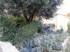 Rustico in vendita con giardino a Castelnuovo Berardenga - villa a sesta - 06