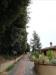 Villa in vendita con posto auto scoperto a Sovicille - carpineto - 04