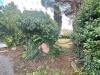 Rustico in vendita con giardino a Porcari - 05