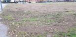 Terreno Edificabile in vendita a Saltara in calcinelli - 04, Foto 4