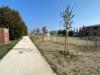 Terreno Edificabile in vendita a Ferrara in via pioppa - 04, Foto 4