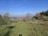Terreno Agricolo in vendita a Montemarano in via santo stefano - 02, Foto 2