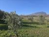 Terreno Agricolo in vendita a Montemarano in via santo stefano - 05, Foto 5