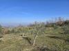 Terreno Agricolo in vendita a Montemarano in via santo stefano - 06, Foto 6