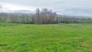 Terreno Agricolo in vendita a Castel Baronia in sp281 - 03, Foto 3