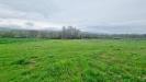 Terreno Agricolo in vendita a Castel Baronia in sp281 - 04, Foto 4
