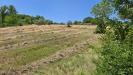 Terreno Agricolo in vendita a Paternopoli in localit candriano - 03, Foto 3