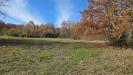 Terreno Agricolo in vendita a Castelvetere sul Calore in c/da cipollara - 04, Foto 4