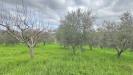 Terreno Agricolo in vendita a Castelfranci in braiole - 10, Foto 10
