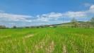 Terreno Agricolo in vendita a Castel Baronia in russo - 03, Foto 3