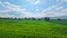 Terreno Agricolo in vendita a Castel Baronia in russo - 06, Foto 6