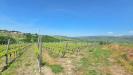 Terreno Agricolo in vendita a Torella dei Lombardi in candriano - 03, Foto 3