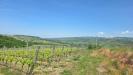 Terreno Agricolo in vendita a Torella dei Lombardi in candriano - 04, Foto 4