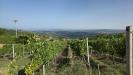 Terreno Agricolo in vendita a Montemarano in santo stefano - 04, Foto 4
