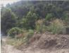 Terreno Agricolo in vendita a Camporosso - 04, Foto 4