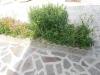 Appartamento bilocale in affitto a Voghera - 08, Foto 8
