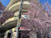 Appartamento in vendita da ristrutturare a Pescara in viale leopoldo muzii - 02, Foto 2