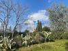 Villa in vendita a Citt� Sant'Angelo in via di villa cipressi - 10, Foto 10