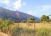 Terreno in vendita a Monreale in via via cozzo del pigno 0 - pezzingoli - 03