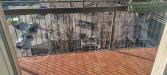 Appartamento in affitto arredato a Milano - 05, d1b9911c-189b-469b-82cb-92ce2fd0c366.jpg