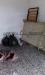 Negozio in affitto a Forl - 03, Foto 3