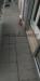 Appartamento in affitto a Forl - 03, Foto 3