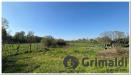Rustico in vendita con giardino a Abbiategrasso - 10, Image00009.jpg