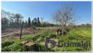 Rustico in vendita con giardino a Abbiategrasso - 07, Image00006.jpg