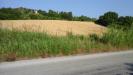 Terreno Agricolo in vendita a San Benedetto del Tronto - 03, Foto 3