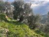 Terreno Agricolo in vendita a Imperia - 10, 10.jpg