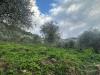 Terreno Agricolo in vendita a Imperia - 07, 7.jpg