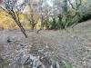 Terreno Agricolo in vendita a Imperia - 10, 6.jpg