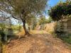 Terreno Agricolo in vendita a Imperia - 02, 2.jpg