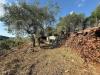 Terreno Agricolo in vendita a Imperia - 09, 9.jpg