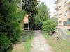 Appartamento bilocale in vendita a Follonica in cassarello - 03, Foto 3