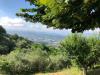 Rustico in vendita con giardino a Pescia - 03, Foto 3