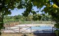 Villa in vendita con giardino a Gavorrano - 04, Foto 4