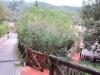 Villa in vendita a Castiglione della Pescaia - 06, Foto 6