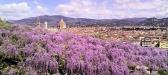 Appartamento in vendita a Firenze - 04, Foto 4