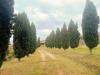 Rustico in vendita con giardino a Castelnuovo di Val di Cecina - 03, Foto 3