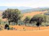 Rustico in vendita con giardino a Magliano in Toscana in strada provinciale 323 pereta - 04, Foto 4