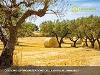 Terreno in vendita a Barberino di Mugello in localita' le caselle - vezzana - mangona snc - 04