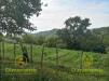 Terreno in vendita a Barberino di Mugello in localita' il saltino - le caselle - via di vezzana snc - 04