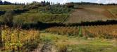 Terreno in vendita a Cerreto Guidi in localita' monicellino vic. via torribina snc - 05