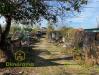 Terreno in vendita a Viareggio in frazione torre del lago puccini via cavallotti snc in prossimit del cimitero di torre del lago pu - 03