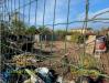 Terreno in vendita a Viareggio in frazione torre del lago puccini via cavallotti snc in prossimit del cimitero di torre del lago pu - 05