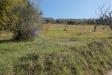 Terreno Agricolo in vendita a Tortoreto in via valle santa maria - 02, Foto 36